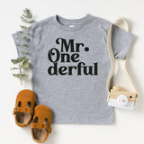 1st Birthday Boy Onesie, Mr. One-derful Shirt, One Year Old Shirt, First Birthday T-Shirt - Nesta Tees