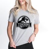 Teaching Is A Walk In The Park Shirt, Dinosaur Teacher Tee, Back To School Shirt