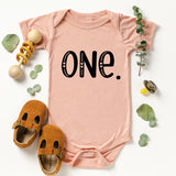 First Birthday Shirt, One Year Old Onesie, 1st Birthday Onesie