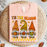 Tis The Season Gnomies Halloween Sweatshirt, Fall Pumpkin T-Shirt