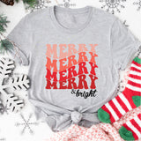 Merry Christmas Shirt, Christmas Shirt